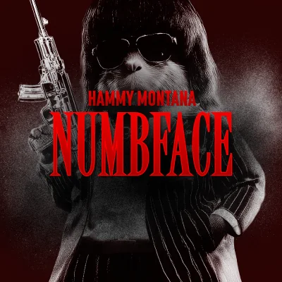 Numbface cover